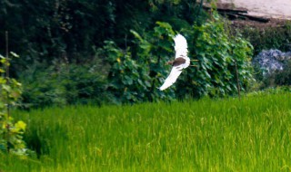 触景生情回忆的句子 触景生情回忆的句子有哪些