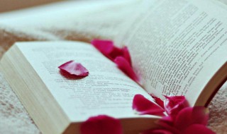 交友宣言最吸引人句子 官宣女友句子