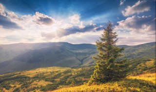 最新早晨祝福问候语 最新的每日早晨祝福问候语合集