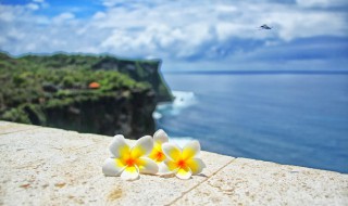 愉悦心情的唯美句子 心情阳光唯美短句