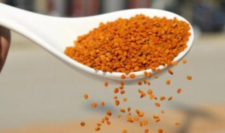 茶花粉的功效与作用及食用方法 茶花粉的功效及食用方法是怎样的