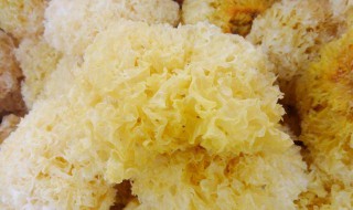 银耳腌制方法 银耳腌制的具体方法