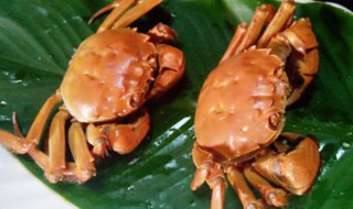 蒸河蟹的制作方法 蒸河蟹的制作方法介绍