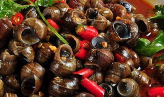 怎样做糖醋田螺 这样做的田螺最好吃