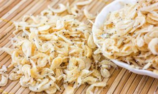 虾米吃什么 虾米的食物是什么