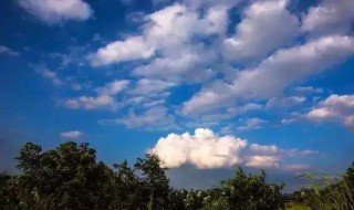 关于天气好的句子 关于天气好的句子有哪些呢