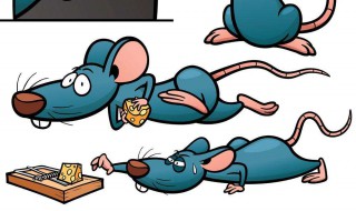 灭老鼠简单方法 灭老鼠有哪些方法