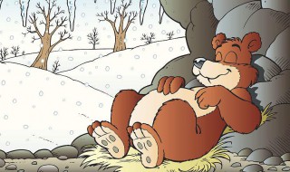 动物冬眠的方法 动物冬眠的不同方法