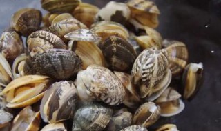 花甲怎么洗才干净 花甲洗干净的方法