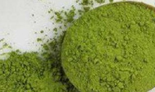 抹茶粉的制作方法 制作好吃抹茶粉的方法