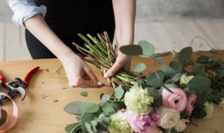 做花泥的步骤 如何制作花泥