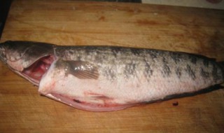 黑鱼要怎么洗才干净 黑鱼怎么洗