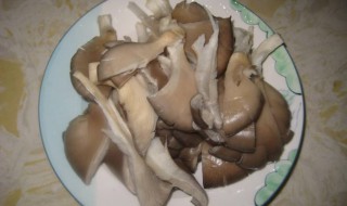 平菇怎么洗才干净 应该这样洗平菇