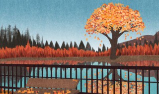 秋天的语句唯美的句子 秋天的心情短句