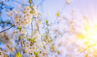 早安简短心语正能量 早安最短精句