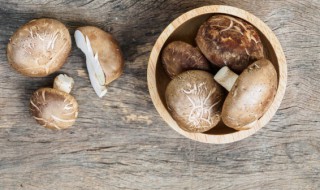香菇多久能熟 香菇多久能熟的解析
