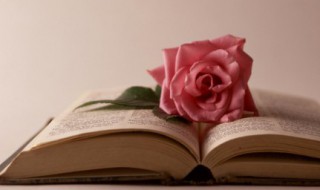 关于细节的经典语录 关于细节的句子