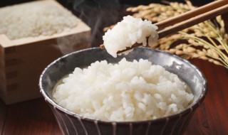 正确淘米的步骤 淘米步骤介绍