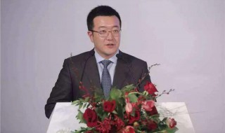 赞美领头人的句子 以下句子都得体