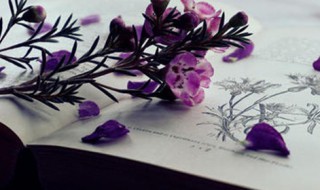 关于自律的名言警句 自律的句子