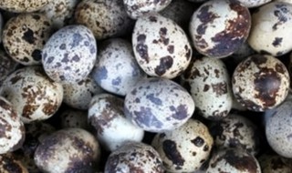 鹌鹑蛋蒸香菇步骤 鹌鹑蛋蒸香菇步骤是什么