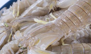 海虾怎么洗才干净 海虾的洗法
