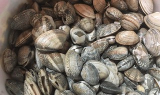花甲贝壳怎么洗才干净 怎么洗花甲