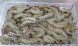 鲜虾生晒方法 鲜虾怎样生晒