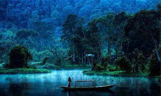 描写黑夜的唯美句子 描写黑夜的唯美句子有哪些