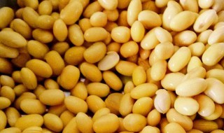 黄豆如何做酱油豆 黄豆做酱油豆的方法