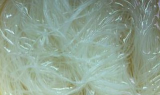 泡粉丝的正确方法 有什么技巧呢