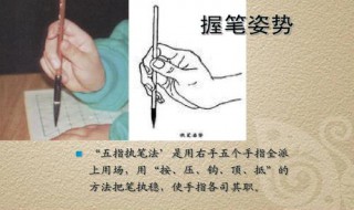 练软笔书法的基本步骤 练软笔书法的步骤是什么