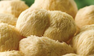 猴头菇加工方法 如何加工猴头菇