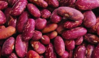 花豆食用的方法 如何吃花豆