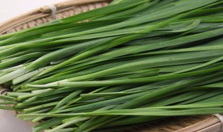 菜煎饼怎么做 菜煎饼的做法