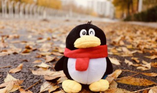 古风qq昵称 古风qq昵称有哪些