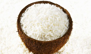 椰蓉制作方法 怎么制作椰蓉