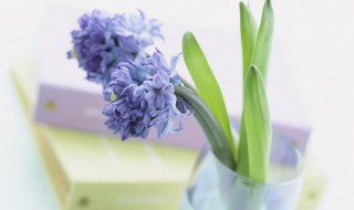 治愈系文字简短 治愈系感人句子