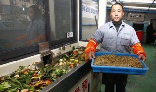 餐厨垃圾如何做有机肥 如何用餐厨垃圾做有机肥