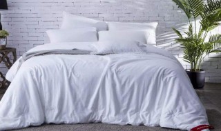 蚕丝被洗涤方法 蚕丝被如何洗涤