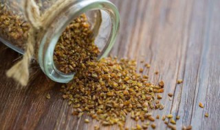 什么人不适合喝苦荞茶 苦荞茶不适合什么人喝