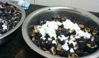 怎样做盐腌乌榄 盐腌乌榄的做法