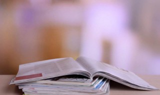 论文中如何做标引 论文中怎么做标引