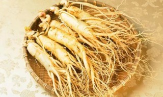 高级人参食用方法 有什么食用方法