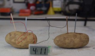 如何做土豆电池实验 土豆电池实验方法