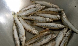 小溪鱼的烹饪方法 小溪鱼的烹饪的具体方法