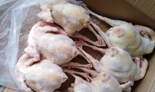 怎样做白条鸡不柴 白条鸡整鸡怎样做好吃还不柴