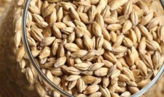 麦芽炒熟步骤 炒麦芽的方法