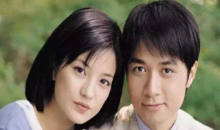 何书桓经典语录 何书桓经典语录精选