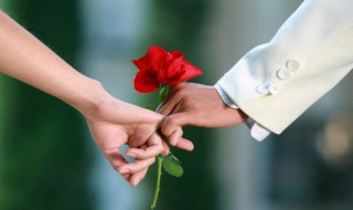 情有独钟的经典语录 情有独钟的经典语录精选